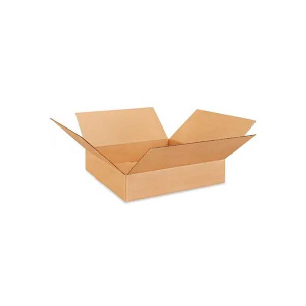 20 x 20 x 4'' Corrugated Boxes - 200# - Bundle of 25