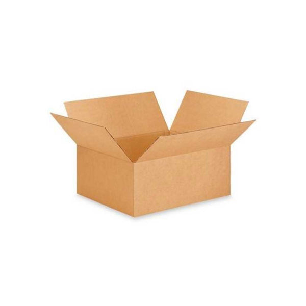 24 x 20 x 9 1/4'' Corrugated Boxes - 200# - Bundle of 15